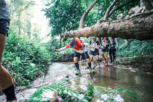 BIB: 
                            <button type="button" onclick="openModal(25452686)" class="btn btn-primary btn-sm float-right btn-popup" data-toggle="modal" data-target=".modal-high-quality">
                        <i class="fas fa-shopping-cart"></i> Add to Cart
                    </button>
                                            <button type="button" onclick="isThisMe(25452686, true)" class="btn btn-success btn-sm float-right btn-popup btn-isme hidden" data-toggle="tooltip" data-placement="bottom" title="นี่คือรูปของคุณใช่ไหม คลิกที่นี่เพื่อเอาเข้าอัลบั้ม">
                        <i class="fas fa-plus"></i> Add to album
                    </button>
                    <button type="button" onclick="isThisMe(25452686, false)" class="btn btn-warning btn-sm float-right btn-popup btn-isnotme hidden">
                        <i class="fas fa-ban"></i> Remove from album
                    </button>